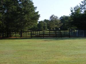 Middle Pasture